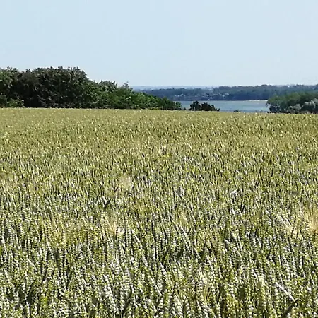 Landidylle Wohlenhagen